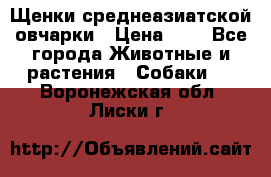 Щенки среднеазиатской овчарки › Цена ­ 1 - Все города Животные и растения » Собаки   . Воронежская обл.,Лиски г.